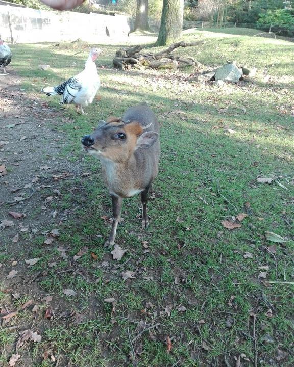 Tierpark Fauna